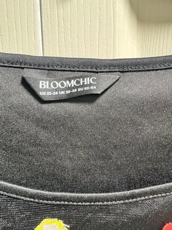 Floral Mesh Embroidery Babydoll Blouse - Picture 3 of 3